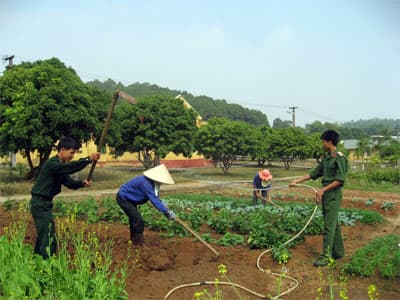 Giá trị của… tư duy