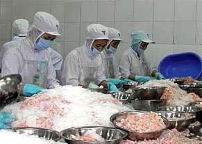Kim ngạch xuất khẩu 11 tháng đầu năm tăng 2,7%