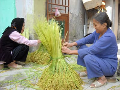Cốm Mễ Trì - Hành trình tìm lại chính danh