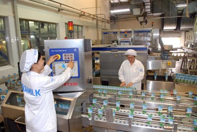 Vinamilk tiếp tục tăng hỗ trợ thu mua sữa bò tươi nguyên liệu