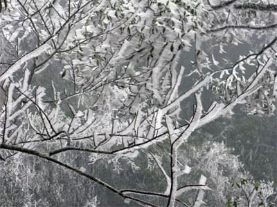 Băng tuyết – Cái đẹp ngậm ngùi