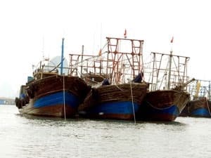 28 tàu cá Việt Nam vào đảo Hải Nam để trú gió to