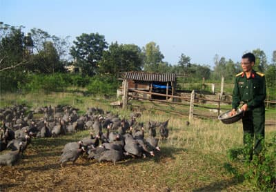 Trung úy “gà sao”
