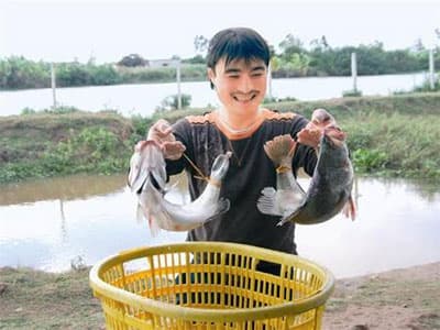 Không cam chịu thất bại