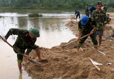 Những "nông dân" binh nhì