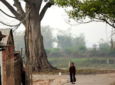 Đôi mắt của bà