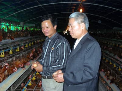 Giúp "cần câu"  và "hướng dẫn câu"