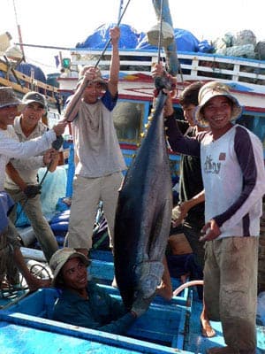 Ngư dân đón Tết trên biển