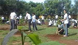 Các địa phương phát động Tết trồng cây