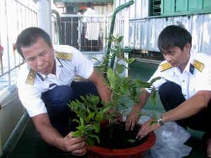 Xuân sớm trên nhà giàn DK1