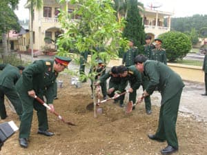 Trồng mới hơn 20 nghìn cây xanh