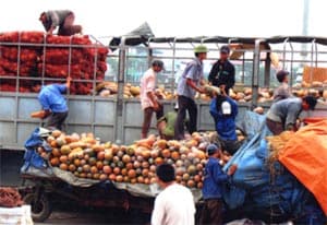 Tháng 2: Xuất khẩu nông, lâm, thủy sản đạt hơn 1,4 tỉ USD