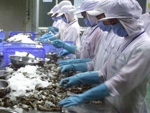 Việt Nam kiện vụ Mỹ áp thuế phá giá tôm lên WTO