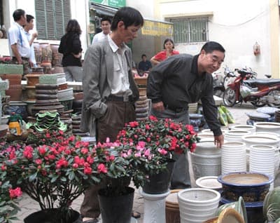 Chậu cảnh, lọ hoa: Đến hẹn lại… khuân ra