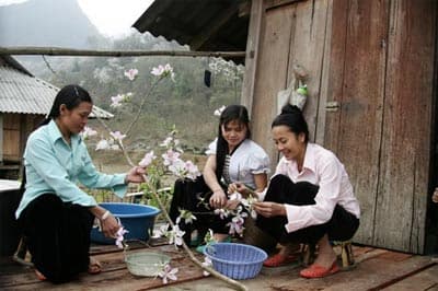 Hương vị đất trời