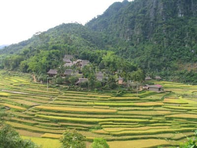 Tiềm năng còn bỏ ngỏ