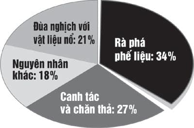 Về miền đất sống bên... "thần Chết" (bài 1)