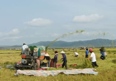 Kỳ tích Cheo Reo