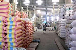 1.000 tấn gạo hỗ trợ nhân dân trong giai đoạn giáp hạt