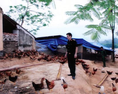 Kho, trạm giỏi tăng gia
