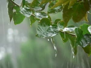 Bắc Bộ mưa to do ảnh hưởng hoàn lưu bão số 2
