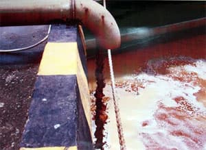 Nhiều người dân Đồng Nai tiếp tục kiện Vedan