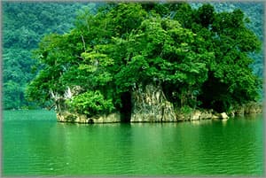 Hoàn thiện hồ sơ Vườn quốc gia Cát Tiên trình lên UNESCO vào tháng 9-2010