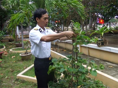 "Hoa tay" làm đẹp cho đảo