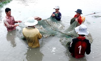 Niềm tin nơi Đất Mũi