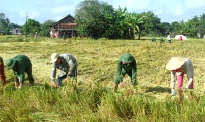 Đồng bào vùng biên mừng Đảng