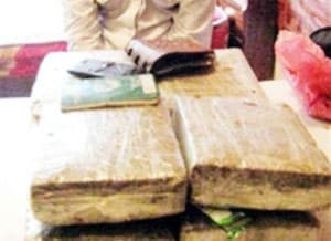 Bắt đối tượng vận chuyển 12 bánh cần sa