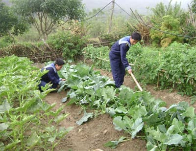 VAC giữa trùng khơi