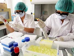 Giám sát chặt các trường hợp mắc cúm A/H1N1