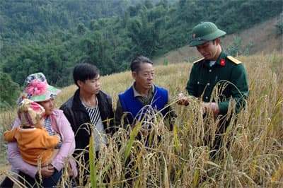 Giữ cho bếp đỏ lửa quanh năm