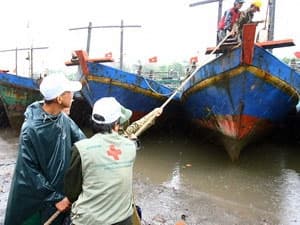 Miền Trung cần chủ động đối phó với áp thấp nhiệt đới