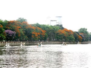 Thu hồi gần 3.500m2 đất phục vụ xây dựng Công viên Thủ Lệ