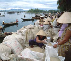 Sau 7-10, Việt Nam tăng lượng gạo xuất khẩu