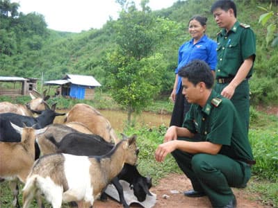 Lính cựu vẫn tiên phong