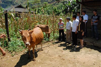 Giảm nghèo bền vững