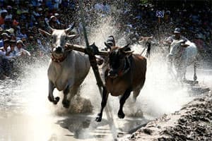 Ngày hội văn hóa dân tộc Khmer