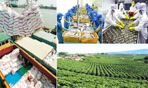 Tháng 1, xuất khẩu nông, lâm, thủy sản đạt 1,6 tỷ USD
