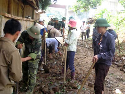 Con đường đón xuân