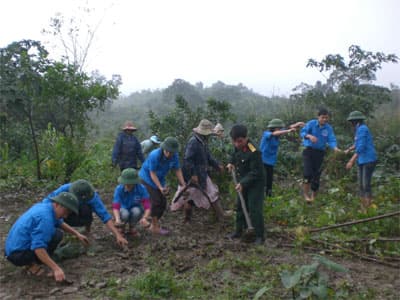 Trí thức trẻ về bản