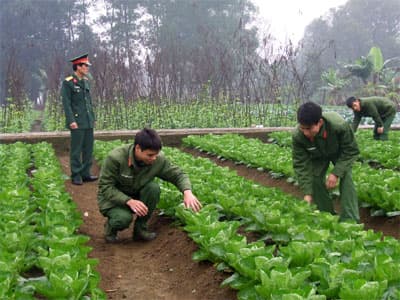 “Không cho đất nghỉ, không ngừng tay ta”