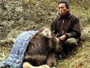 Hơn 50.000 gia súc chết trong đợt rét đậm, rét hại vừa qua