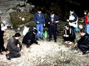 Phát hiện dấu tích người Việt cổ có niên đại 7000 năm