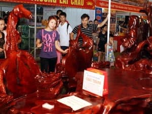 Ngày 26-3 sẽ diễn ra Festival Lâm sản Việt Nam lần thứ nhất