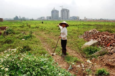 Ruộng bỏ hoang, dân không có việc làm