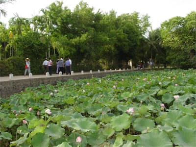 Về thăm quê Bác