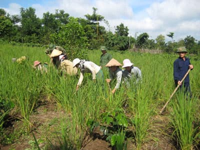 Đổi thay ở một vùng đất Đông Trường Sơn